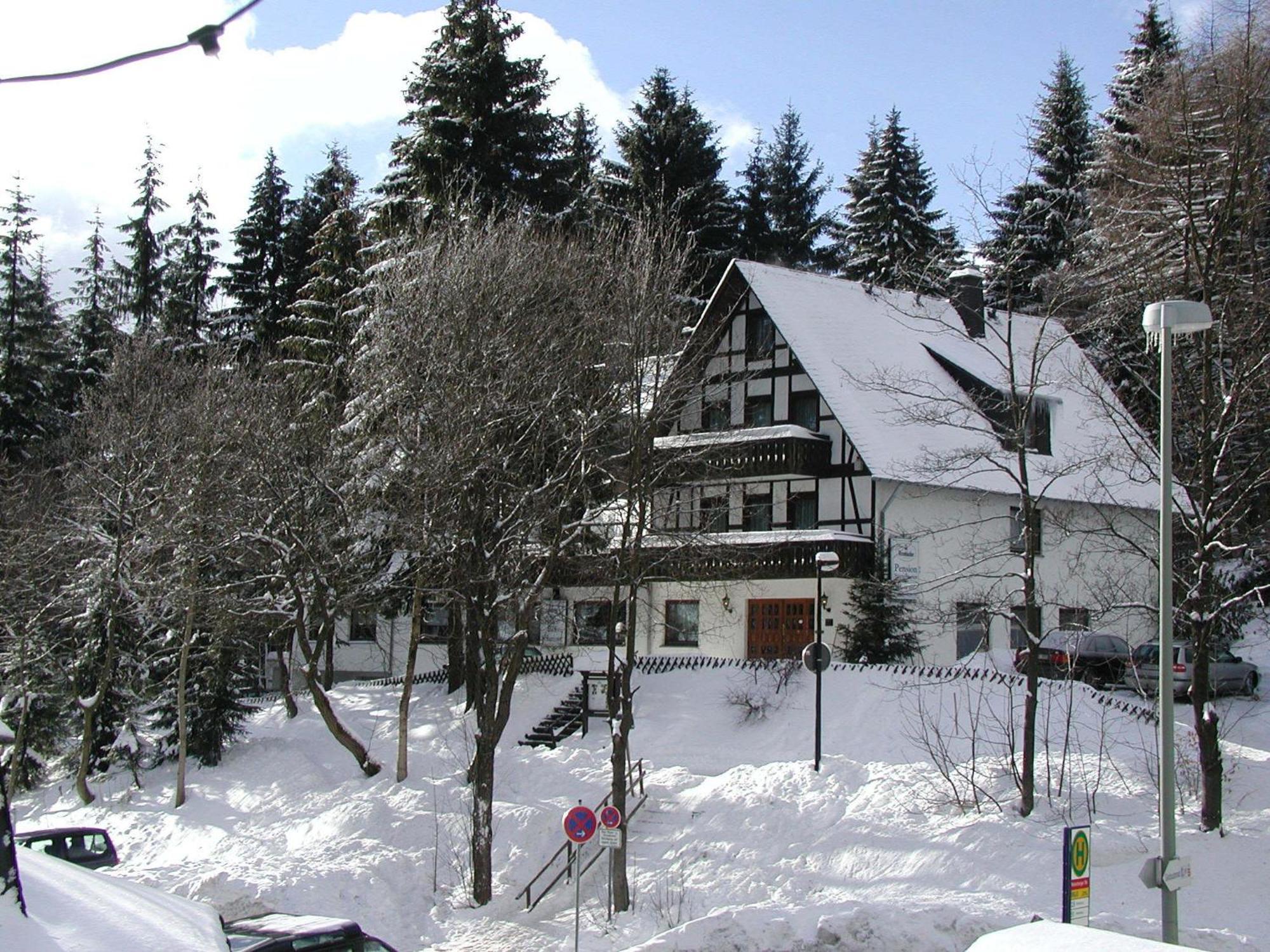 Pension Stiegelmeier Winterberg Eksteriør bilde